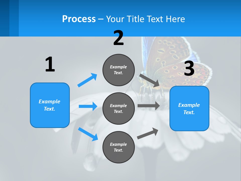 Animal Closeup Beautiful PowerPoint Template