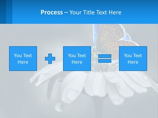 Animal Closeup Beautiful PowerPoint Template