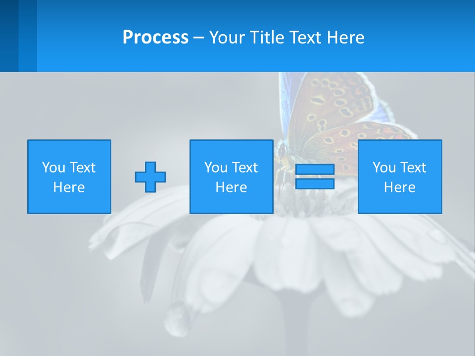 Animal Closeup Beautiful PowerPoint Template
