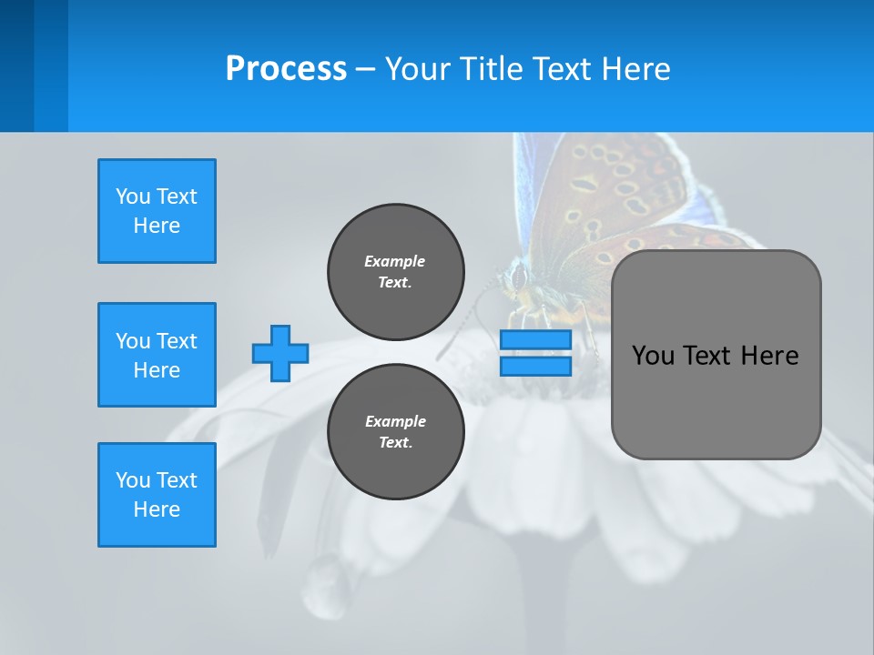Animal Closeup Beautiful PowerPoint Template