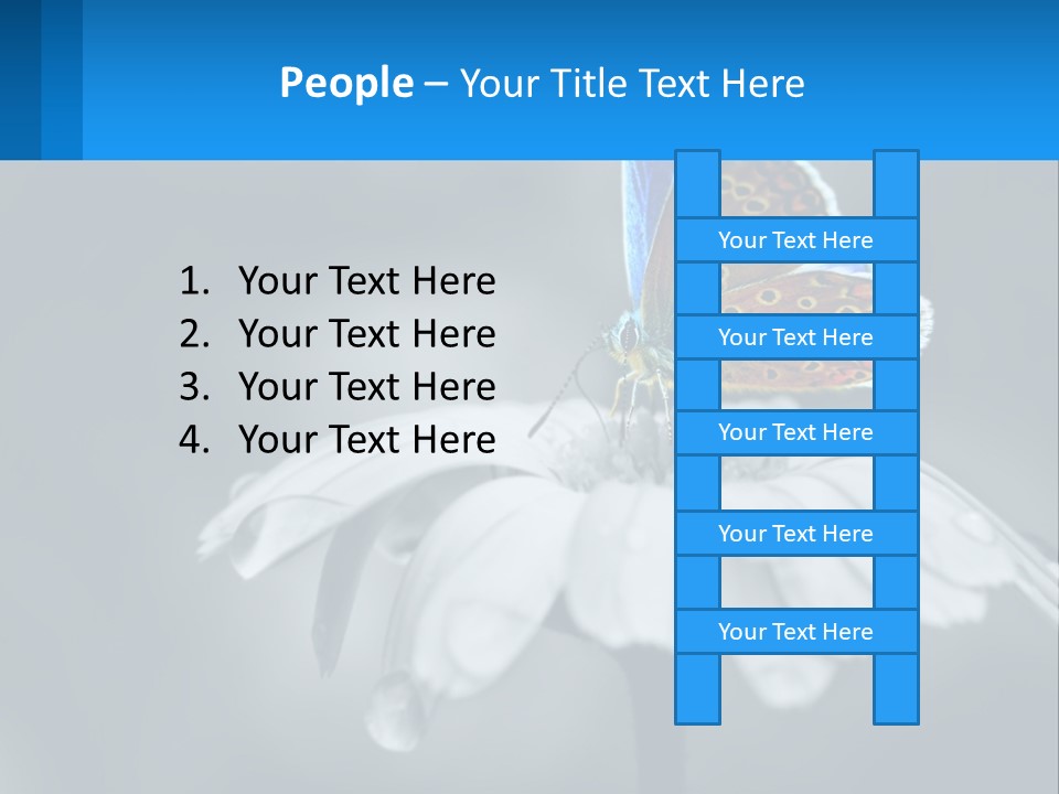 Animal Closeup Beautiful PowerPoint Template