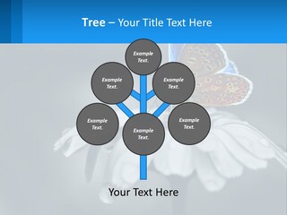Animal Closeup Beautiful PowerPoint Template