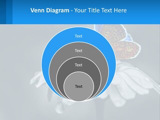 Animal Closeup Beautiful PowerPoint Template