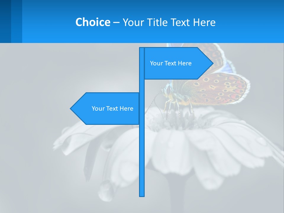 Animal Closeup Beautiful PowerPoint Template