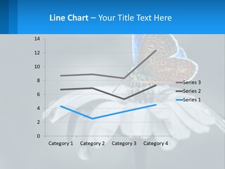 Animal Closeup Beautiful PowerPoint Template