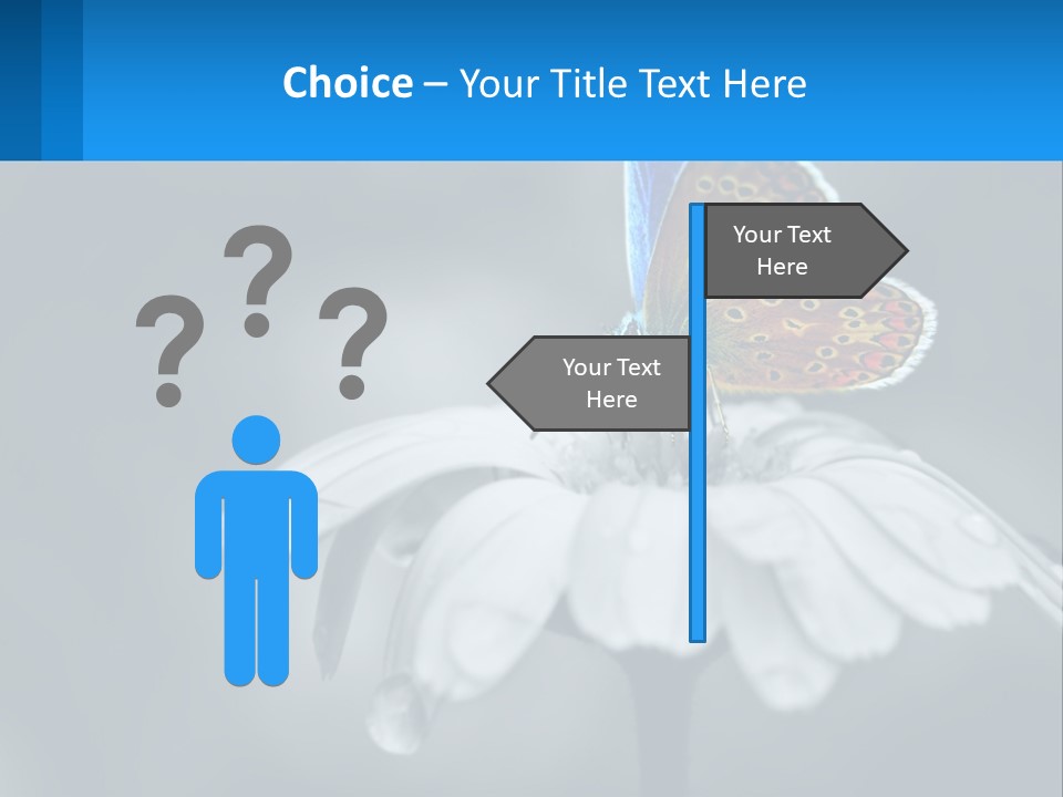 Animal Closeup Beautiful PowerPoint Template