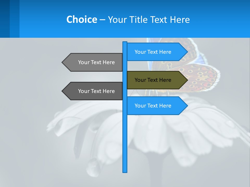 Animal Closeup Beautiful PowerPoint Template