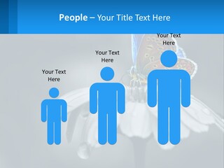 Animal Closeup Beautiful PowerPoint Template