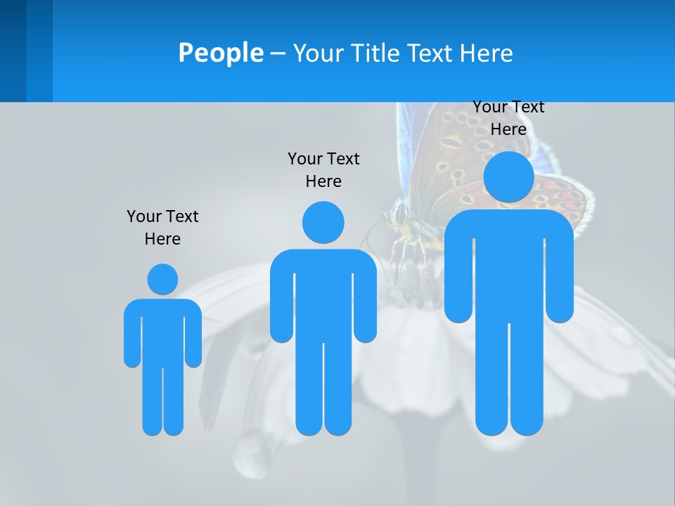 Animal Closeup Beautiful PowerPoint Template