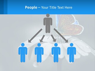 Animal Closeup Beautiful PowerPoint Template