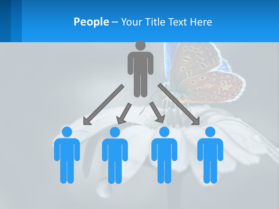 Animal Closeup Beautiful PowerPoint Template