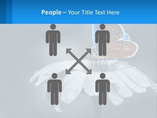 Animal Closeup Beautiful PowerPoint Template