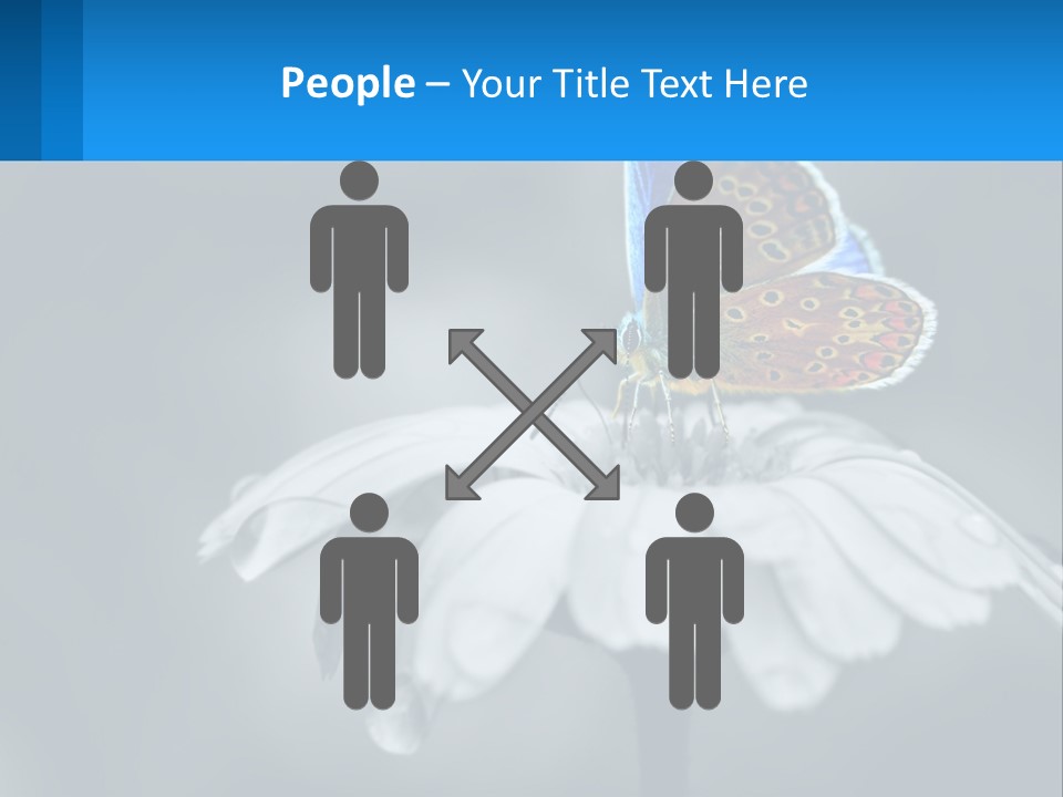 Animal Closeup Beautiful PowerPoint Template