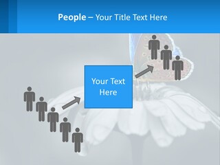 Animal Closeup Beautiful PowerPoint Template