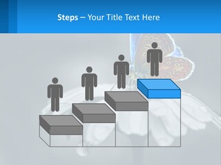 Animal Closeup Beautiful PowerPoint Template