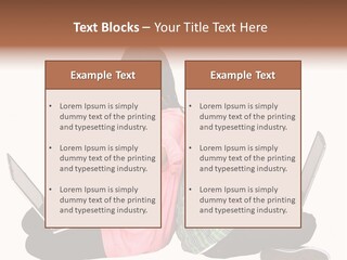 African Horizontal Computer PowerPoint Template