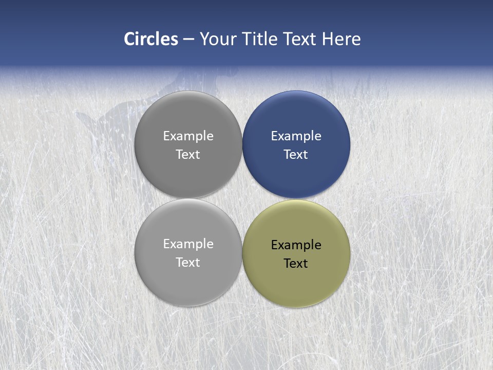 Gold Blue Sky Hunting Dog PowerPoint Template
