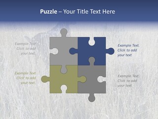 Gold Blue Sky Hunting Dog PowerPoint Template