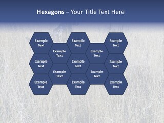Gold Blue Sky Hunting Dog PowerPoint Template