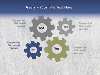 Gold Blue Sky Hunting Dog PowerPoint Template