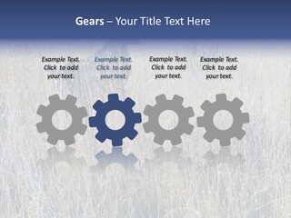 Gold Blue Sky Hunting Dog PowerPoint Template