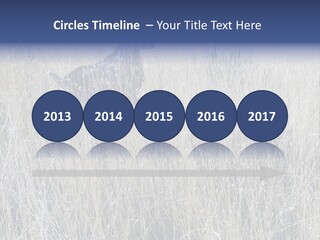 Gold Blue Sky Hunting Dog PowerPoint Template