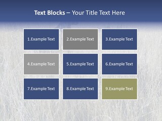 Gold Blue Sky Hunting Dog PowerPoint Template