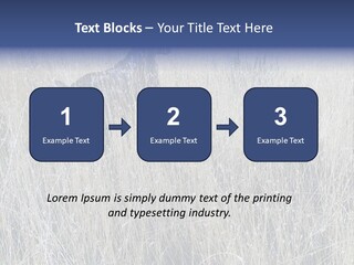 Gold Blue Sky Hunting Dog PowerPoint Template