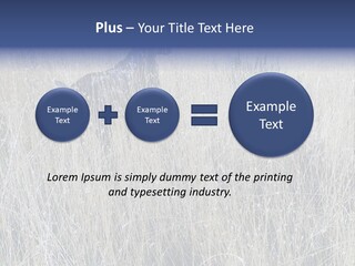Gold Blue Sky Hunting Dog PowerPoint Template