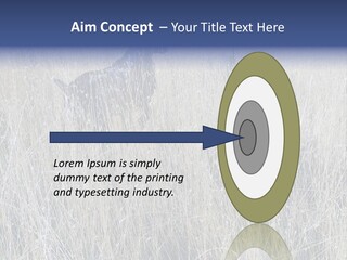 Gold Blue Sky Hunting Dog PowerPoint Template
