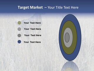 Gold Blue Sky Hunting Dog PowerPoint Template