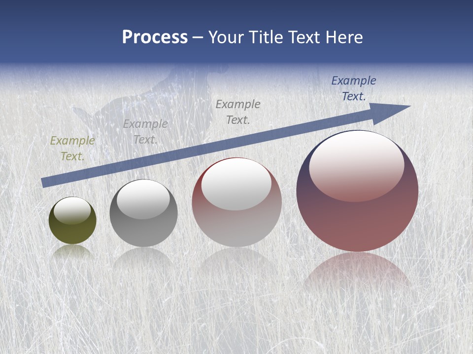 Gold Blue Sky Hunting Dog PowerPoint Template