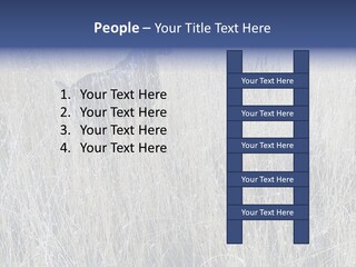 Gold Blue Sky Hunting Dog PowerPoint Template