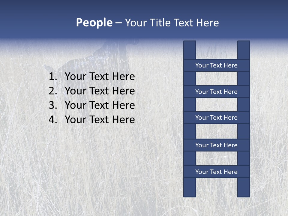 Gold Blue Sky Hunting Dog PowerPoint Template