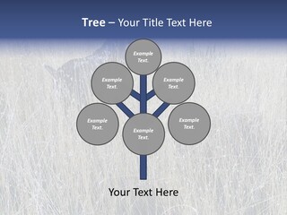 Gold Blue Sky Hunting Dog PowerPoint Template