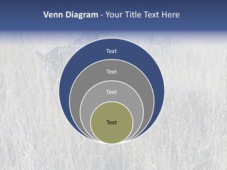 Gold Blue Sky Hunting Dog PowerPoint Template