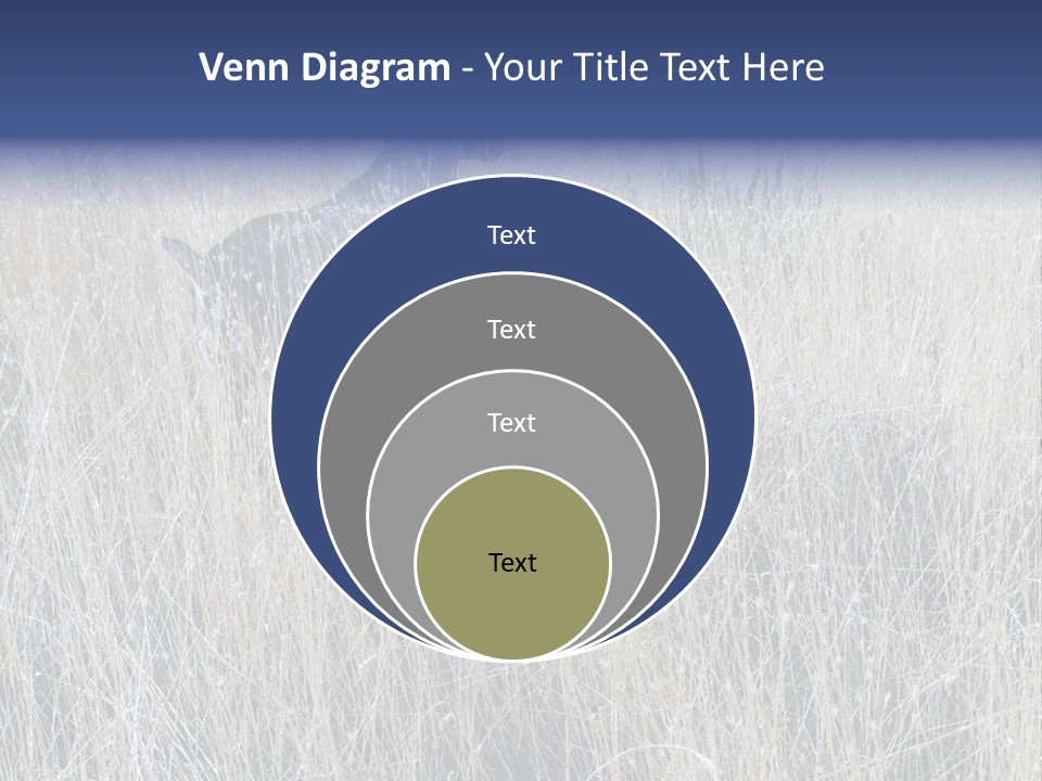 Gold Blue Sky Hunting Dog PowerPoint Template