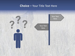Gold Blue Sky Hunting Dog PowerPoint Template
