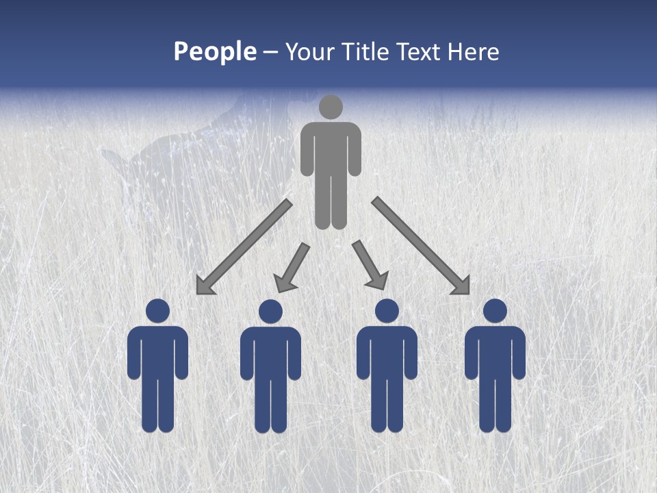 Gold Blue Sky Hunting Dog PowerPoint Template