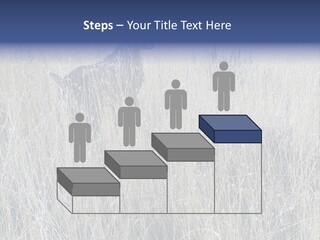 Gold Blue Sky Hunting Dog PowerPoint Template
