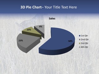 Gold Blue Sky Hunting Dog PowerPoint Template