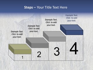 Gold Blue Sky Hunting Dog PowerPoint Template