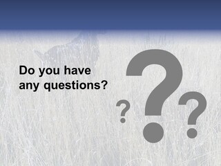 Gold Blue Sky Hunting Dog PowerPoint Template