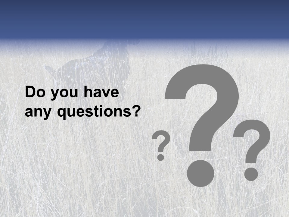 Gold Blue Sky Hunting Dog PowerPoint Template