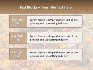 Protection Young Forest PowerPoint Template