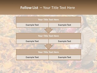 Protection Young Forest PowerPoint Template