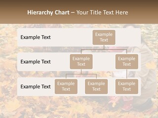 Protection Young Forest PowerPoint Template