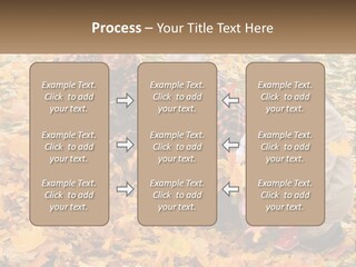 Protection Young Forest PowerPoint Template