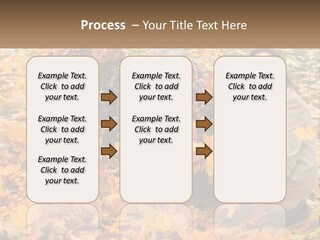 Protection Young Forest PowerPoint Template