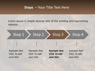 Mortuary Cemetery Mummified PowerPoint Template